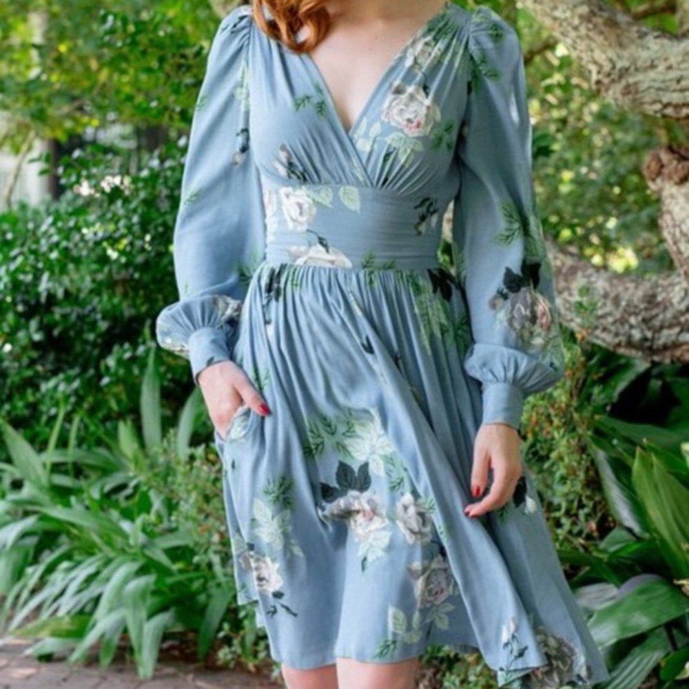 Trashy Diva French Blue Roses 4 Bianca Dress